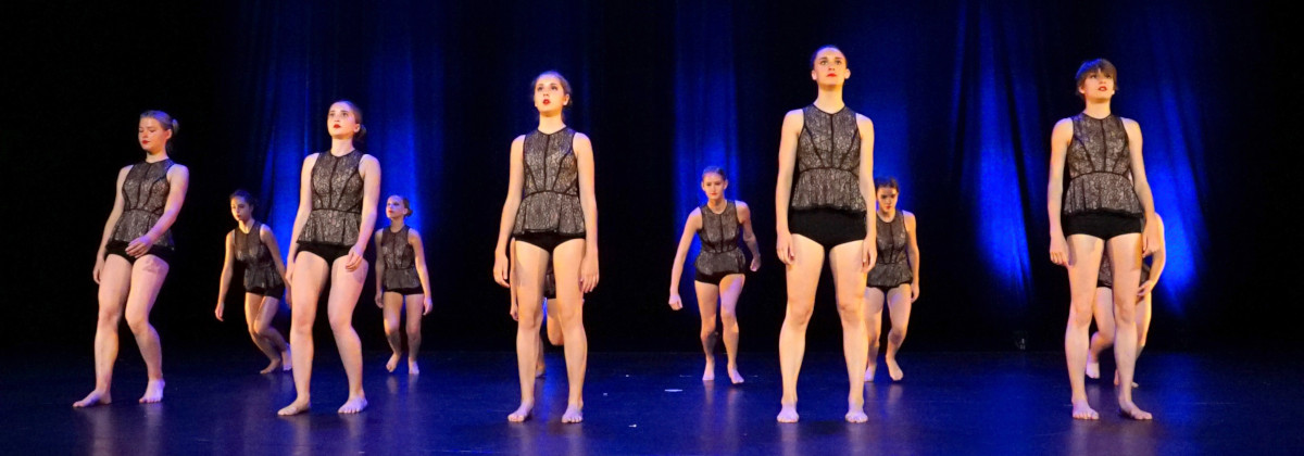 Le Lieu Galery Danse Contemporain